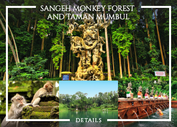 Sangeh Monkey Forest and Taman Mumbul tour thumbnail