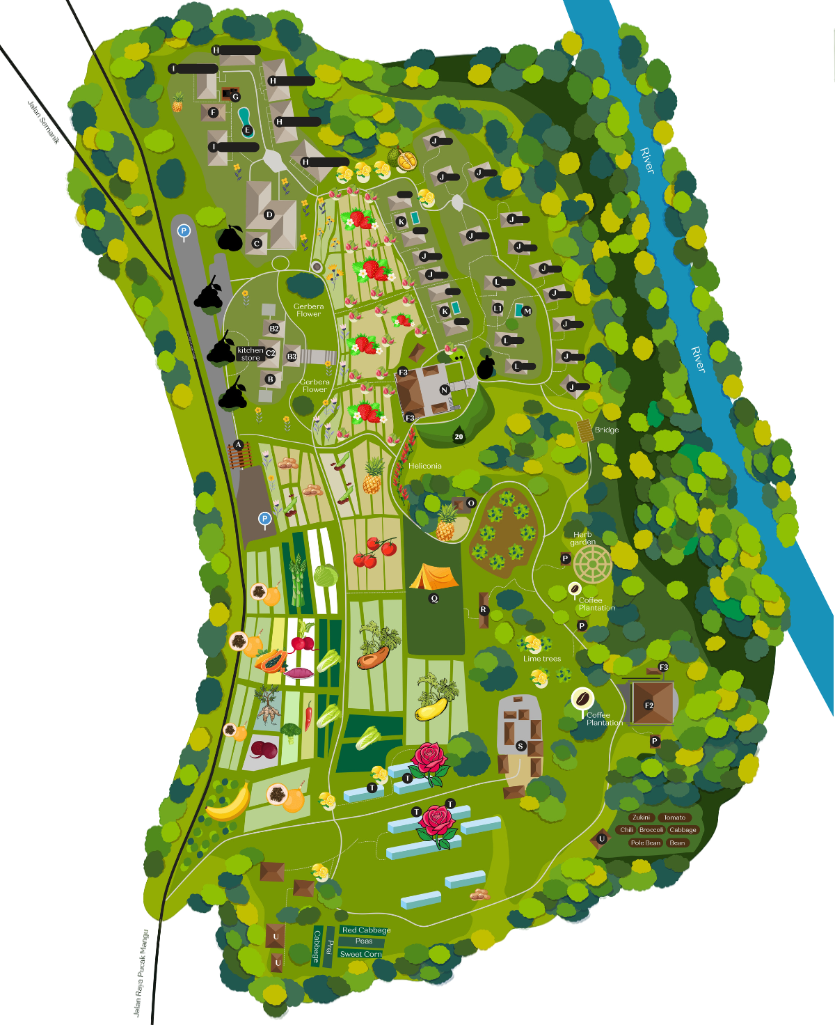 Resort Facilities