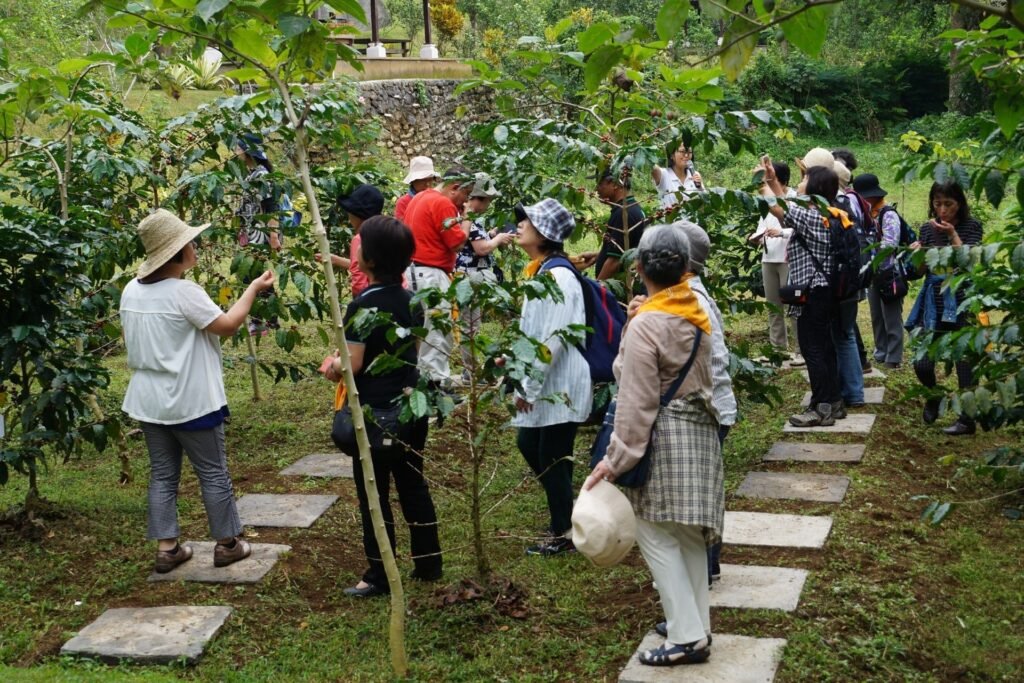 main slide wellness farm