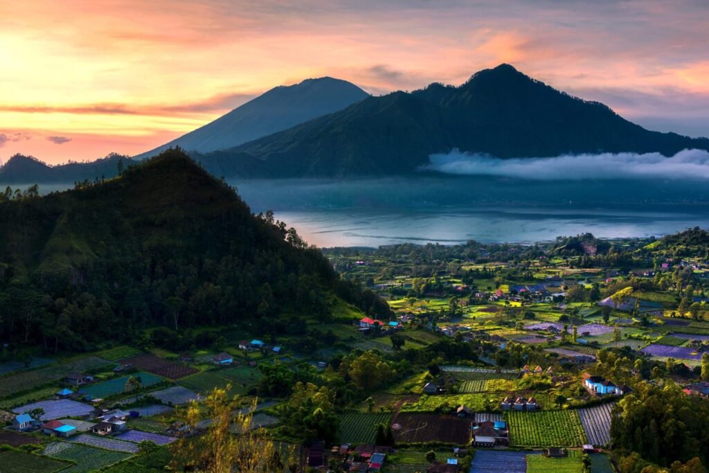 optional activities 1