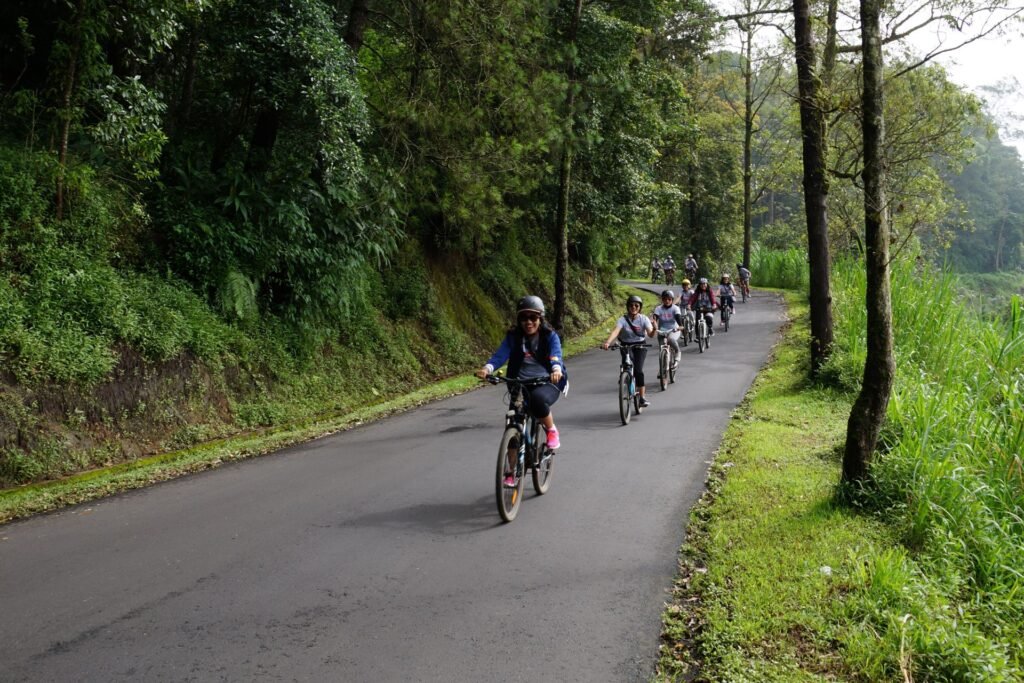 optional activities 3