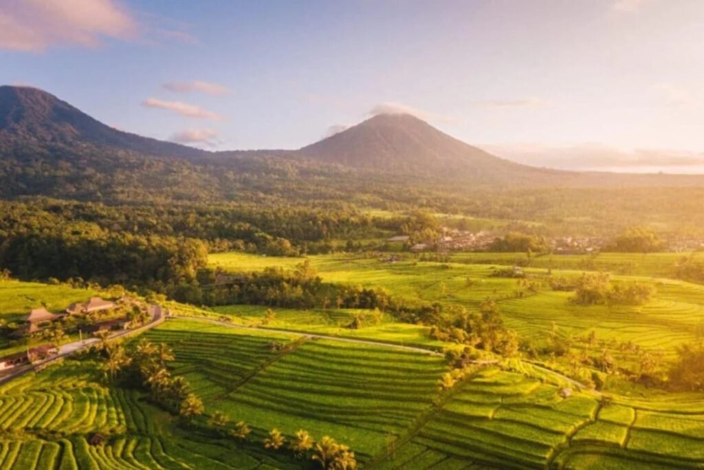 optional activities 4