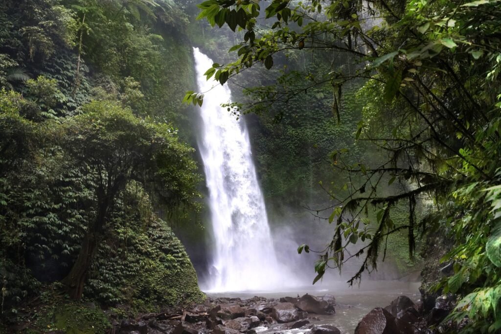 optional activities 7